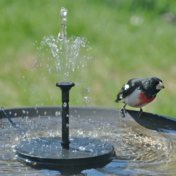 LAST DAY 48% OFF🔥Solar-Powered Bird Fountain Kit