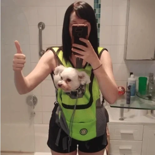 🔥 49% OFF🔥2023 Summer Dog Backpack🐶