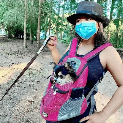 🔥 49% OFF🔥2023 Summer Dog Backpack🐶