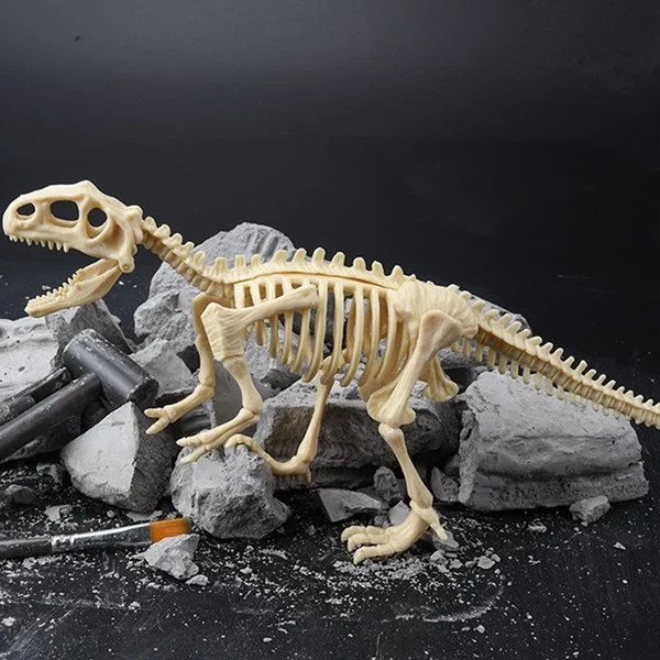 Hot Sale- Dinosaur Fossil Digging Kit--Buy 2 Free Shipping