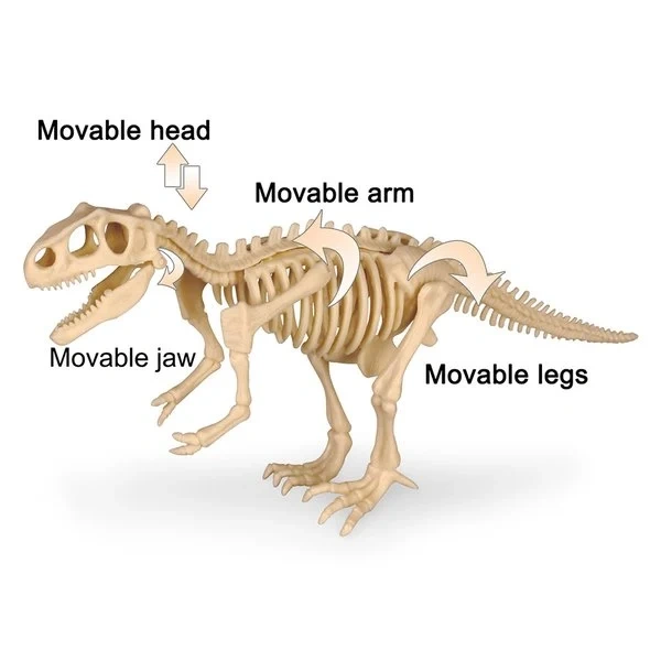 Hot Sale- Dinosaur Fossil Digging Kit--Buy 2 Free Shipping