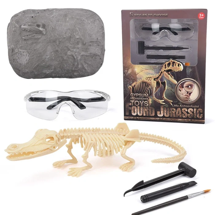 Hot Sale- Dinosaur Fossil Digging Kit--Buy 2 Free Shipping
