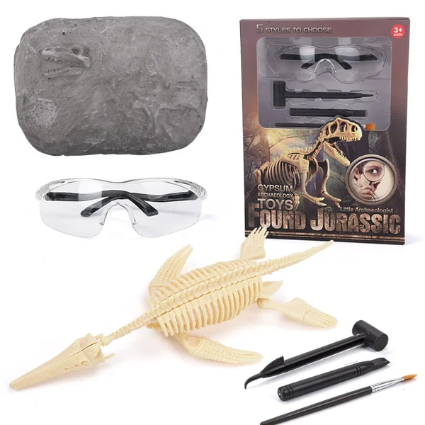 Hot Sale- Dinosaur Fossil Digging Kit--Buy 2 Free Shipping