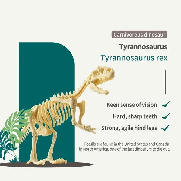 Hot Sale- Dinosaur Fossil Digging Kit--Buy 2 Free Shipping
