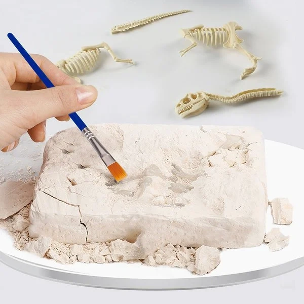 Hot Sale- Dinosaur Fossil Digging Kit--Buy 2 Free Shipping