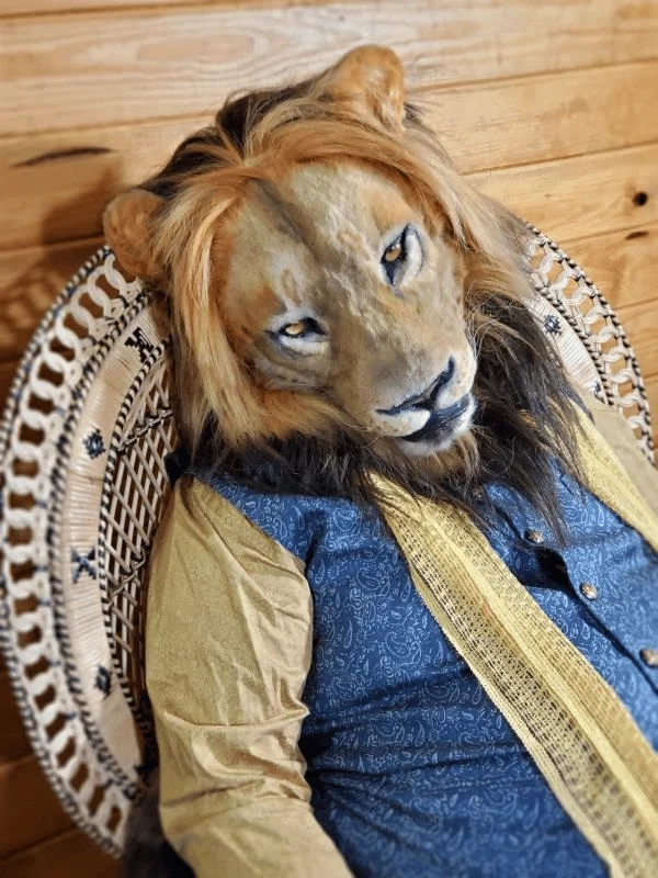 🔥2024 HOT SALE 🔥49% OFF-Detachable Costume Mask and Animal Helmet