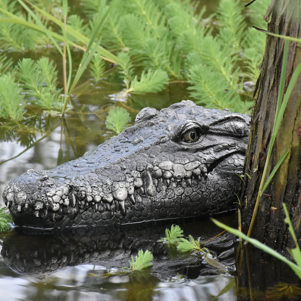 🔥🎁2024 Hot Sale🎁Crocodile Head Remote Control Boat & Free shipping