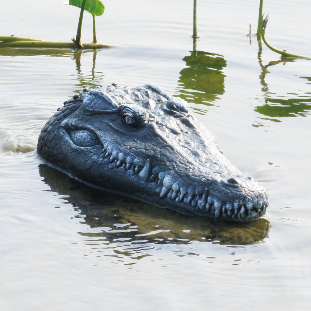 🔥🎁2024 Hot Sale🎁Crocodile Head Remote Control Boat & Free shipping