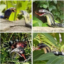 🐍Tricky Toys -Remote control Naja snake toy