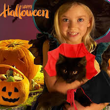 🧛🧛Halloween Vampire Count Pet Cloak & BUY 2 GET 10% OFF
