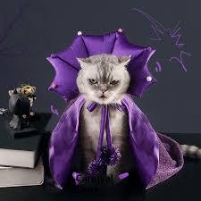 🧛🧛Halloween Vampire Count Pet Cloak & BUY 2 GET 10% OFF