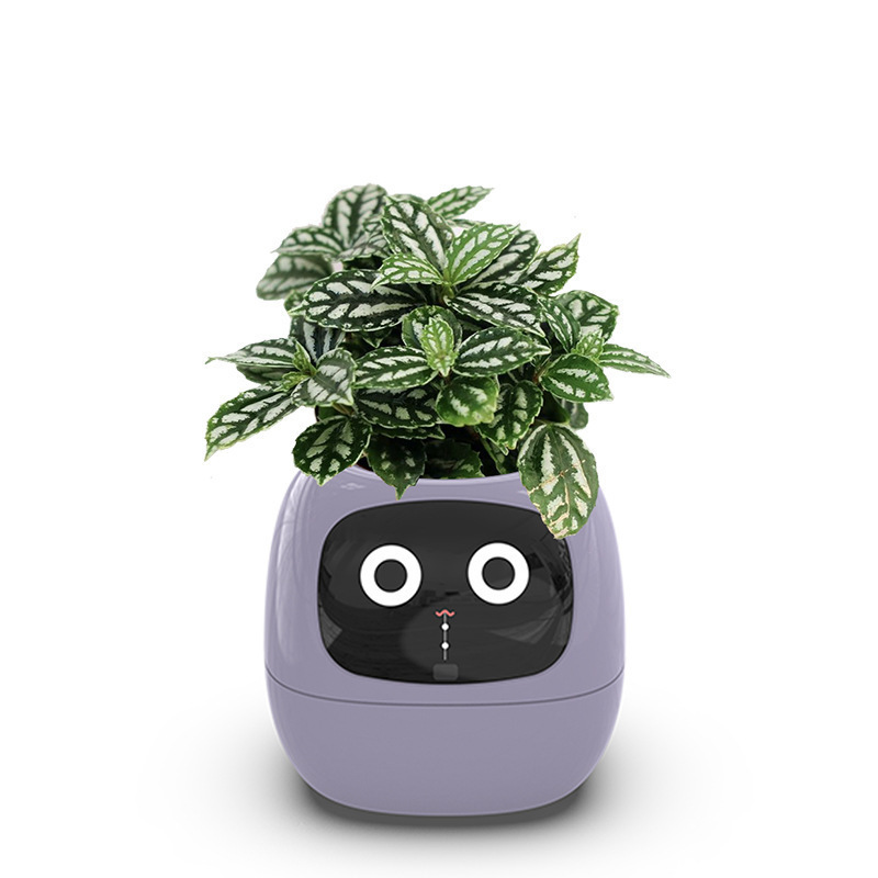 Plantagotchi - Ai Smart Planter