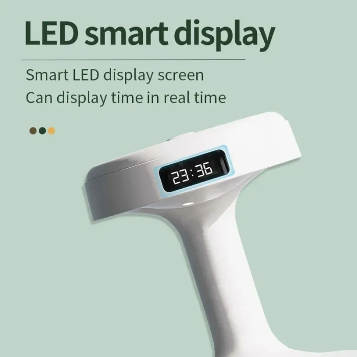 Electric dryer for clothes and shoes