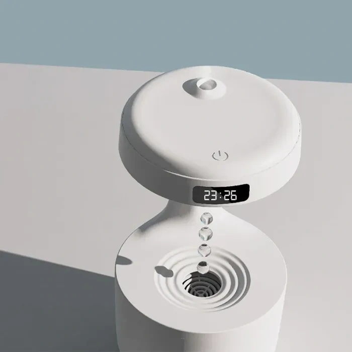 Electric dryer for clothes and shoes
