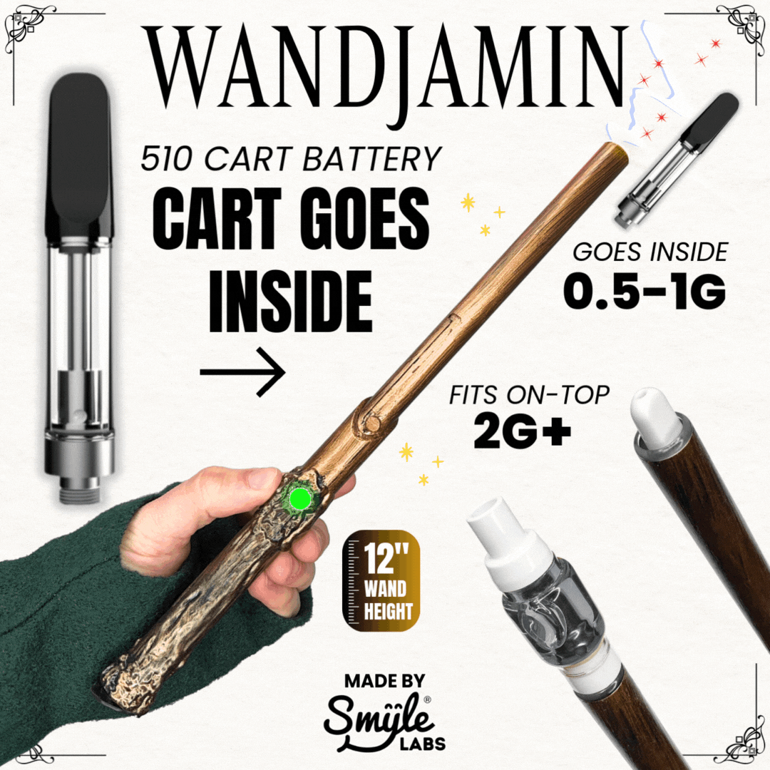 Wandjamin Cart Battery with LED Light & Slide to Hide Feature（Buy 2 Free Shipping）