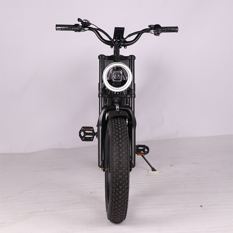 E-bike20*4.0 thick tire electric bicycle off-road 7-speed snowmobile retro trend electric bicycle Europe