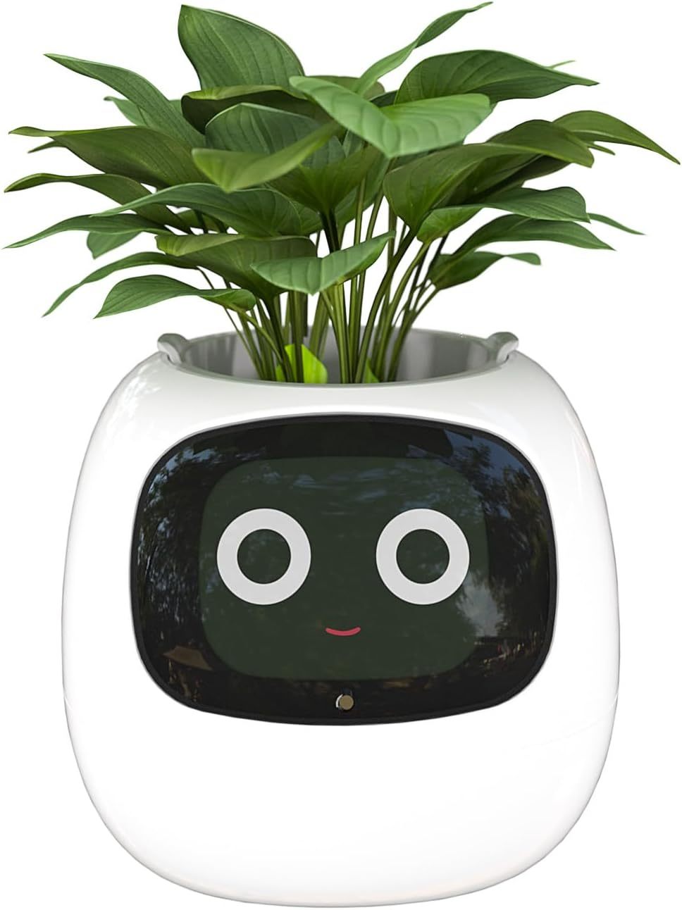 Smart Flowerpots, with Artificial Intelligence, Time Temperature Display, and Numerous Expressive Animations Based On The Environment