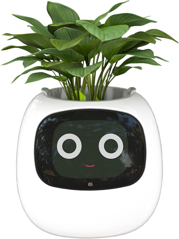 Smart Flowerpots, with Artificial Intelligence, Time Temperature Display, and Numerous Expressive Animations Based On The Environment