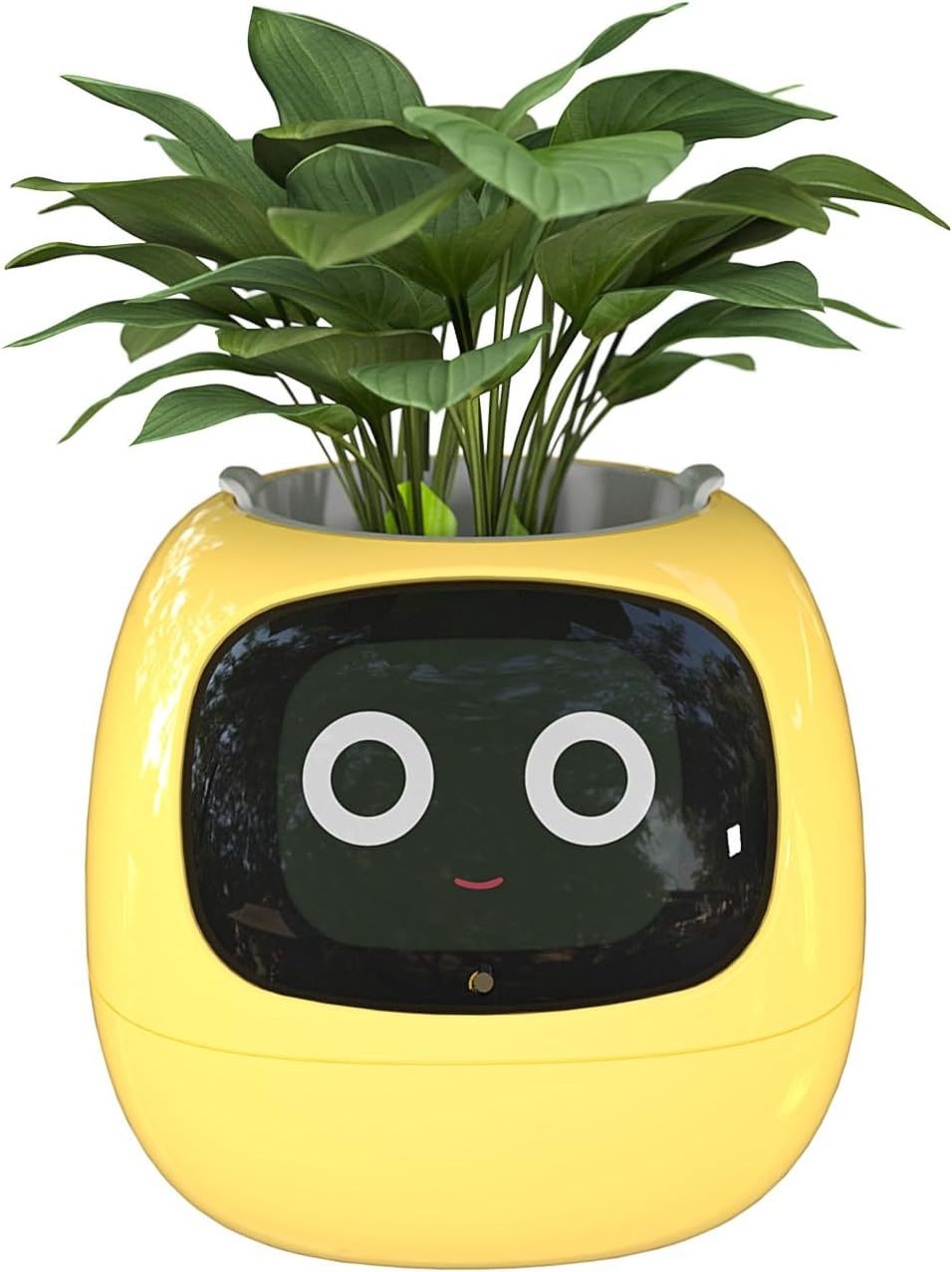 Smart Flowerpots, with Artificial Intelligence, Time Temperature Display, and Numerous Expressive Animations Based On The Environment