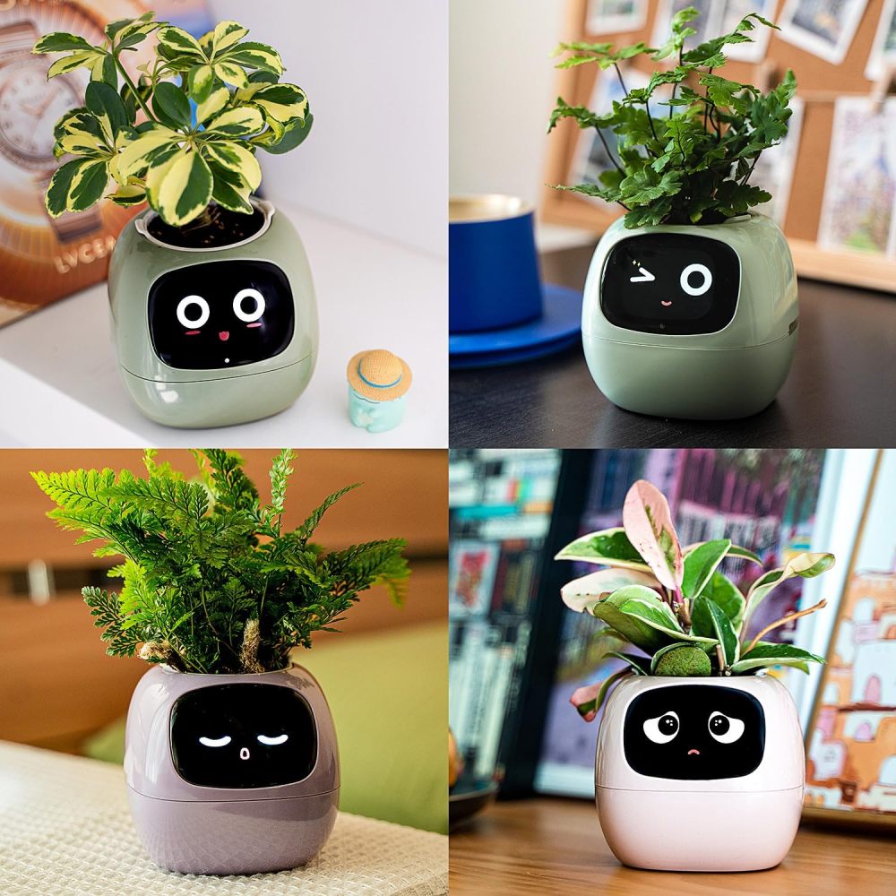 Smart Flowerpots, with Artificial Intelligence, Time Temperature Display, and Numerous Expressive Animations Based On The Environment