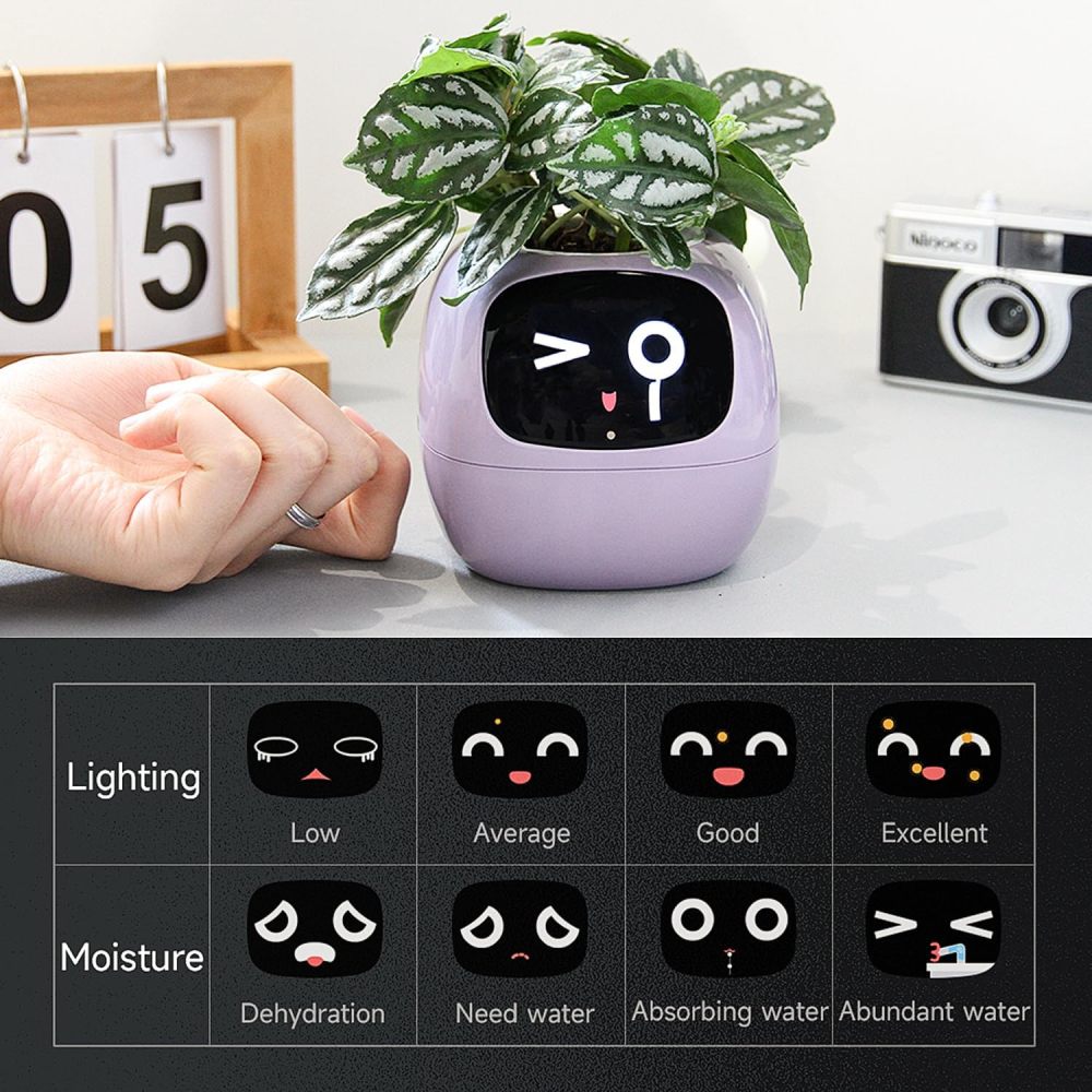 Smart Flowerpots, with Artificial Intelligence, Time Temperature Display, and Numerous Expressive Animations Based On The Environment