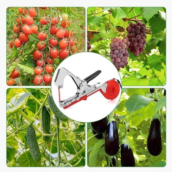 🔥Last Day 49%OFF🔥Plant Tying Machine🌶️🍇-Free shipping
