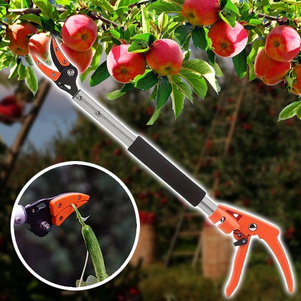 Tree Pruning Shears | TREESNIP