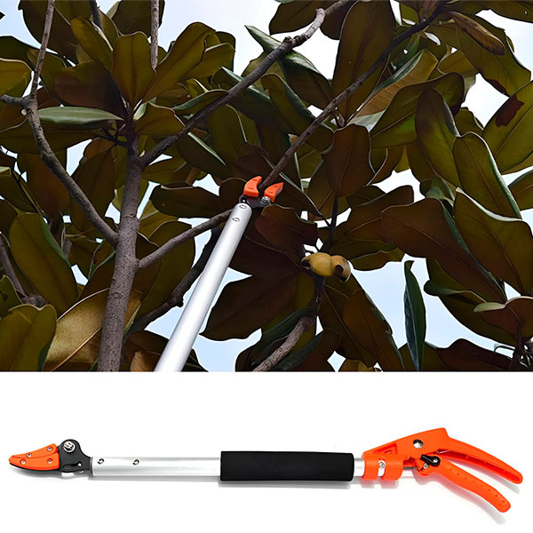 Tree Pruning Shears | TREESNIP