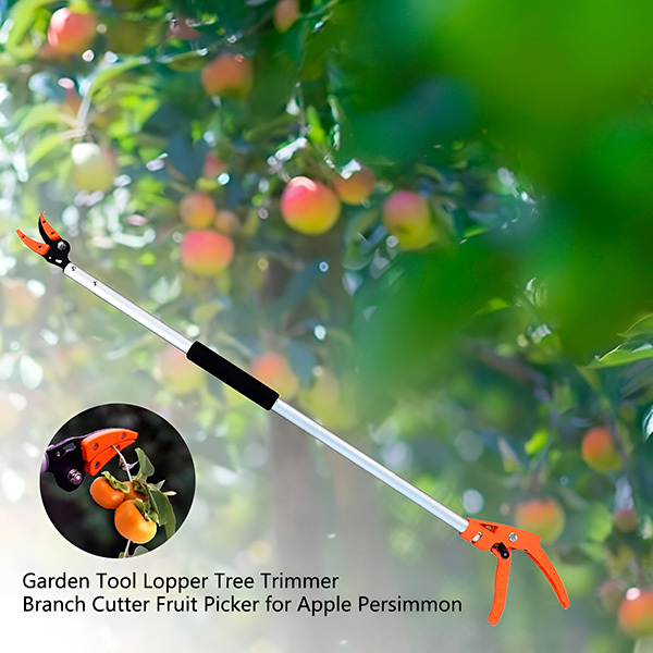 Tree Pruning Shears | TREESNIP