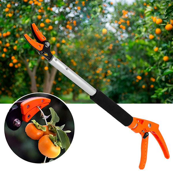 Tree Pruning Shears | TREESNIP