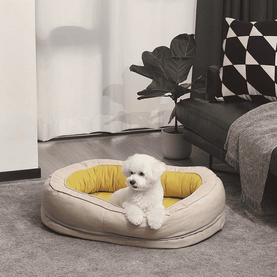 Cuddle into Cloud-Like Comfort: The Dreamy Donut Pet Bed