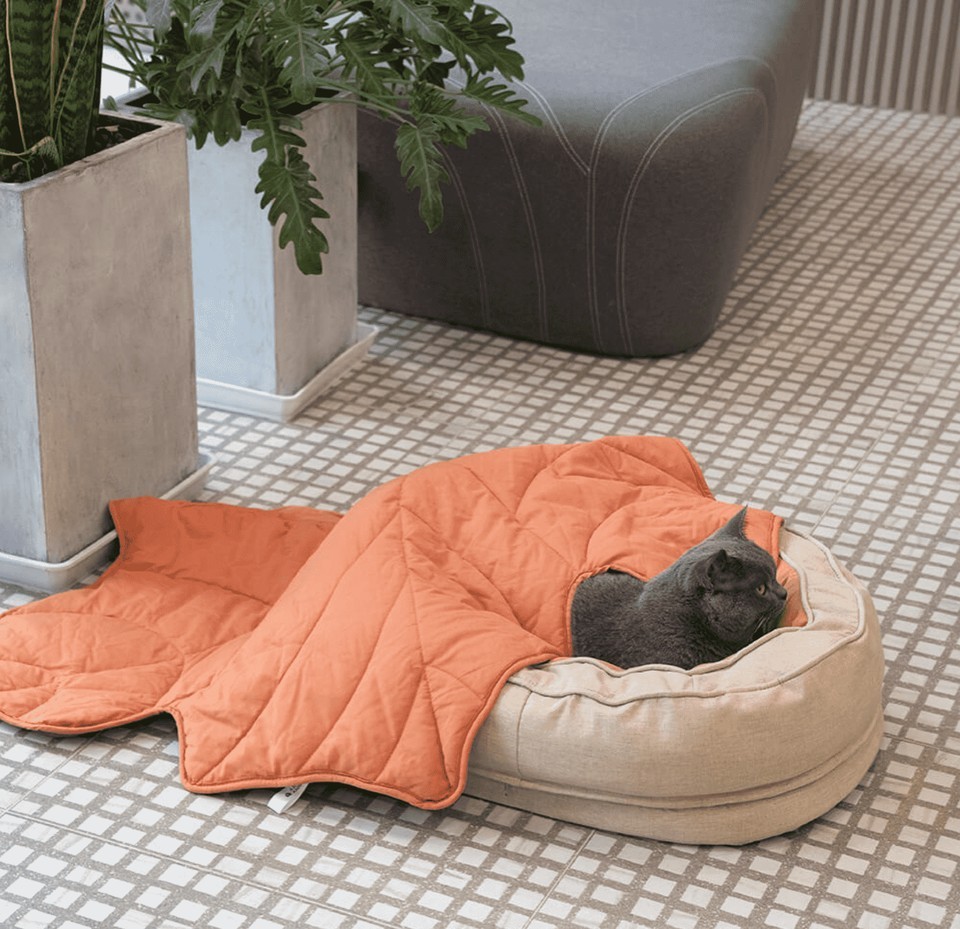 Cuddle into Cloud-Like Comfort: The Dreamy Donut Pet Bed