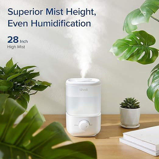 Top Fill Humidifiers for Bedroom