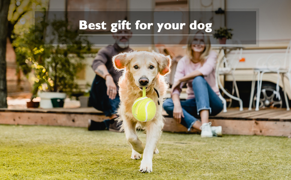 Interactive Dog Toy Ball, Durable Motion-Activated Automatic Rolling Ball Toy, Suitable for Small/Medium/Large Dogs.