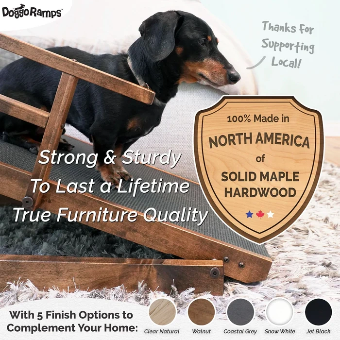 🔥 Flash Sale | Top-Seller Now 50% Off 🔥 Ramp for Small Dog Beds