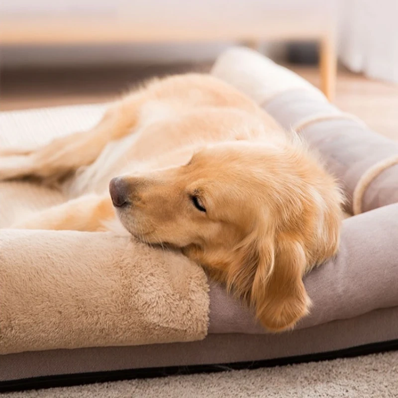 Customized Luxury Durable Eco-Friendly Large Pet House Plus Cat Dog Mattress Beds