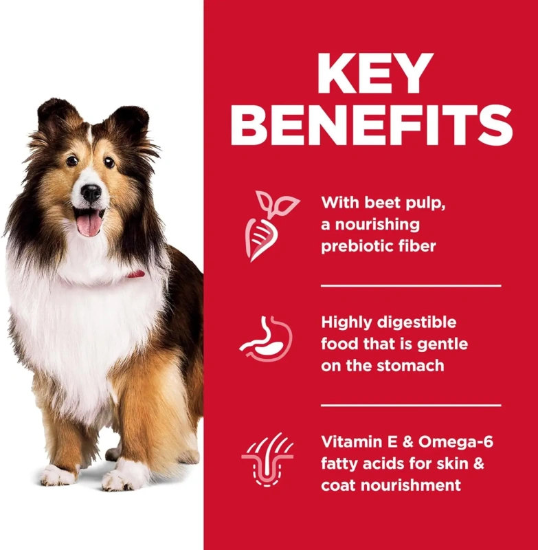 Wholesale dry dog food suppliers Hill's Science Diet Dry Dog Food, Adult, Sensitive Stomach & Skin, Chicken Recipe,