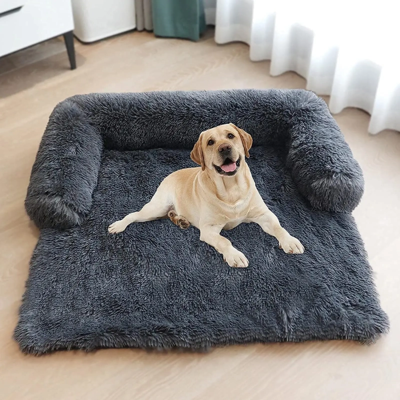 dog bed