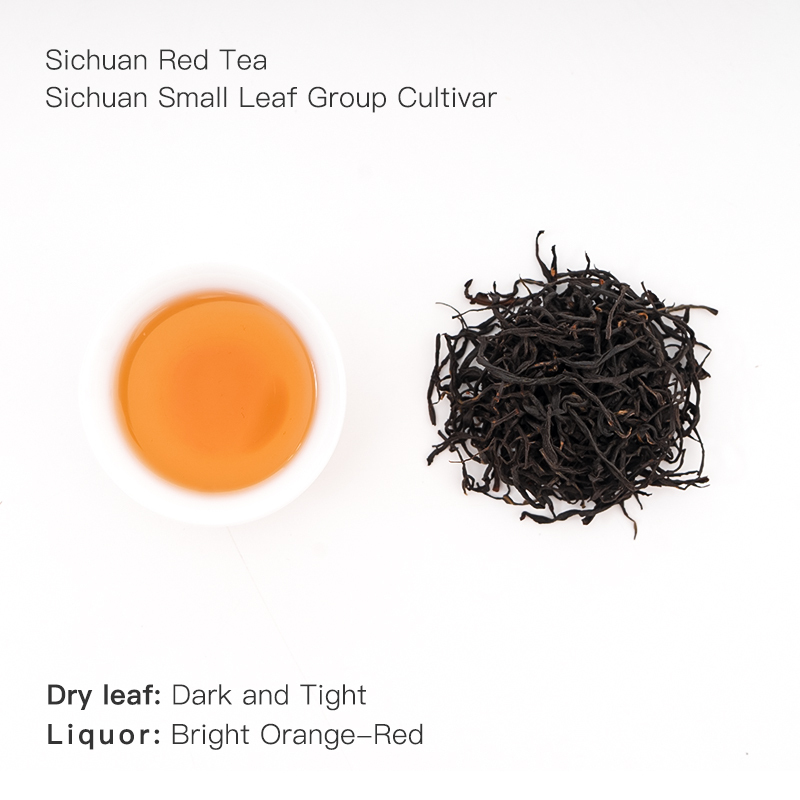 Sichuan Black Tea