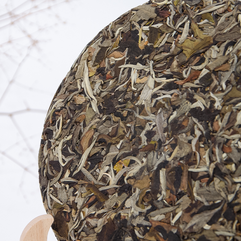 Yunnan Old Tree White Tea Spring 2022 | 357g | 2nd Anniversary Edition