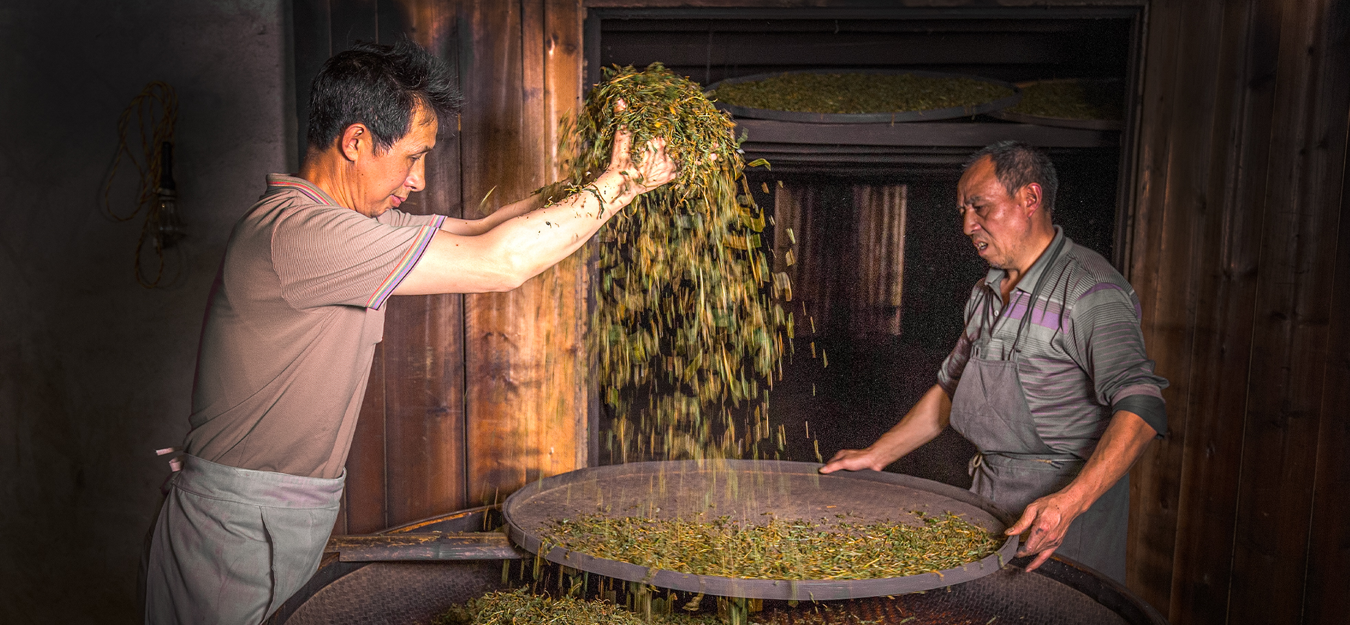 Wuyi Mountains Lapsang Souchong: A Timeless Tea Journey