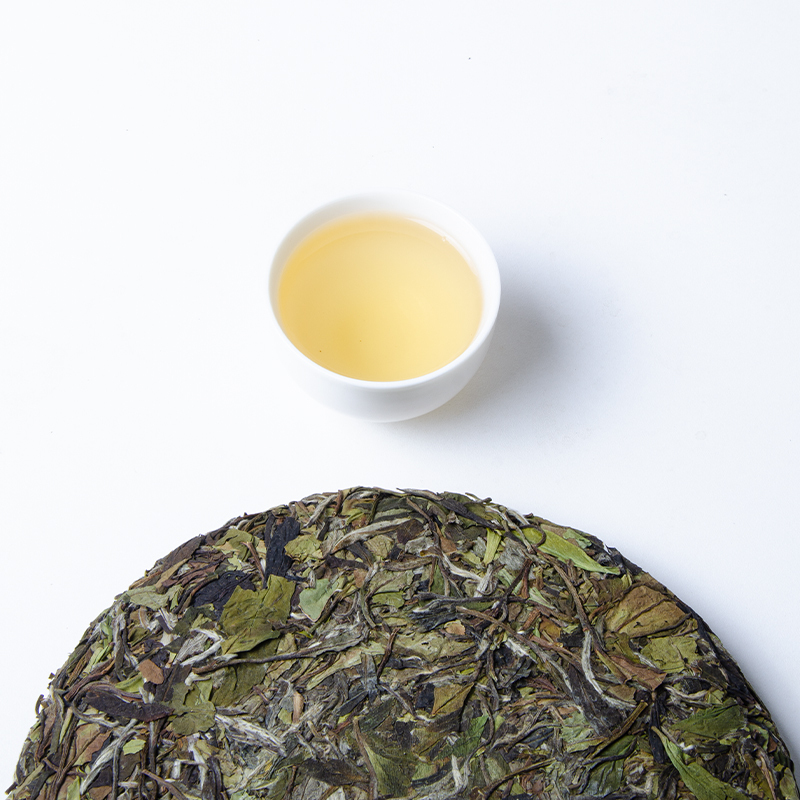 2021 Fuding White Peony White Tea | The Year of Ox Edition | Premium Growing Regions