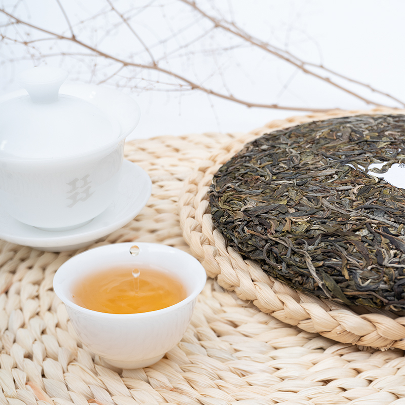 Midi Old Tree Pu'er Raw Tea 2023 | Spring Harvest | 357g tea cake