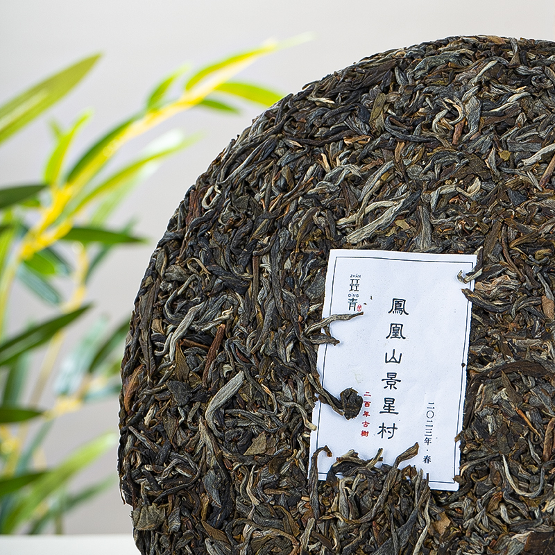 Phoenix Mountain Arbor Ancient Tree Pu'er 2023 | Year of the Rabbit Edition | 357g Cake Tea