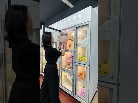21.5-inch Screen Flower Vending Machine,Arcade Machines For Sale From China Manufacturer - Raisefun