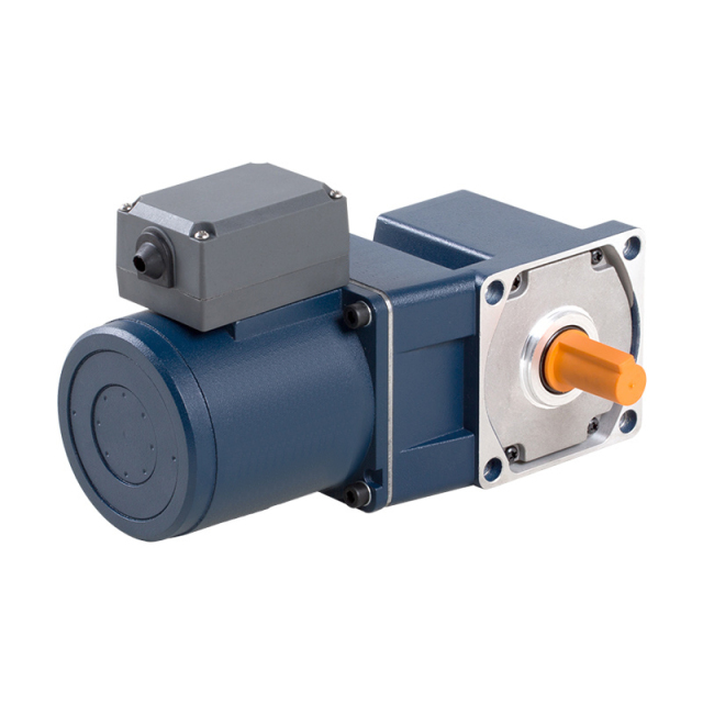 INDUCTION MOTORS 80mm 25W,Caida,INDUCTION MOTORS 80mm 25W