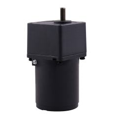 6W gear motor - 60mm reversible drive,Caida,6W gear motor - 60mm reversible drive