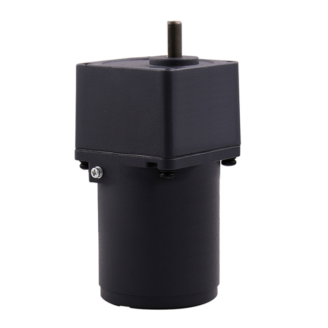 6W gear motor - 60mm reversible drive,Caida,6W gear motor - 60mm reversible drive