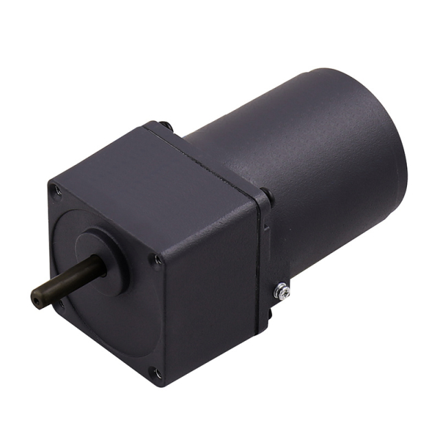6W gear motor - 60mm reversible drive,Caida,6W gear motor - 60mm reversible drive
