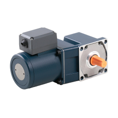 REVERSIBLE MOTORS 80mm 25W,Caida,REVERSIBLE MOTORS 80mm 25W